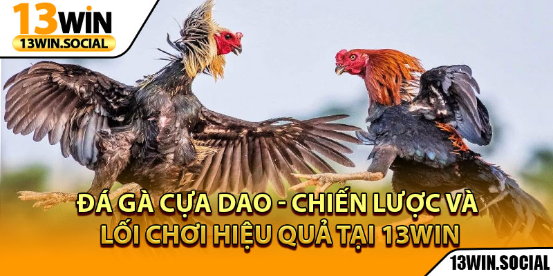Đá Gà Cựa Dao - Chiến Lược Và Lối Chơi Hiệu Quả Tại 13Win 1 Đá Gà Cựa Dao - Chiến Lược Và Lối Chơi Hiệu Quả Tại 13Win