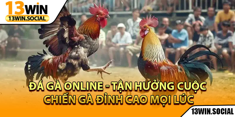 Đá Gà Online - Tận Hưởng Cuộc Chiến Gà Đỉnh Cao Mọi Lúc 1 Đá Gà Online - Tận Hưởng Cuộc Chiến Gà Đỉnh Cao Mọi Lúc