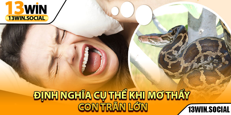 Mơ Thấy Con Trăn Lớn - Hé Lộ Cặp Số Vàng Chuẩn Xác Nhất 2 Định nghĩa cụ thể khi mơ thấy con trăn lớn