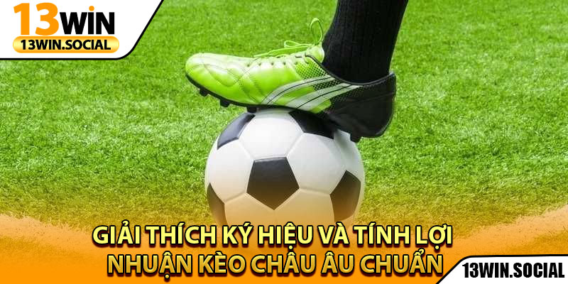 Kèo Châu Âu – Bí Quyết Cược Hiệu Quả Với Lợi Nhuận Cao 3 Giải thích ký hiệu và tính lợi nhuận kèo Châu Âu chuẩn