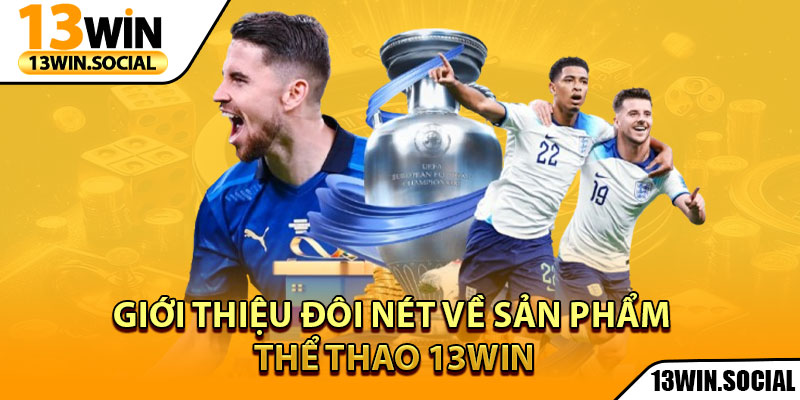 Thể Thao 13Win – Đỉnh Cao Giải Trí Cho Tín Đồ Cá Cược 1 Giới thiệu đôi nét về sản phẩm thể thao 13Win