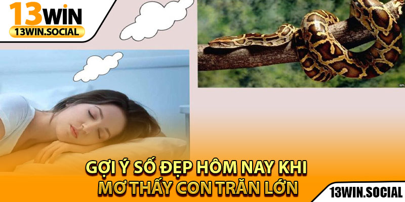 Mơ Thấy Con Trăn Lớn - Hé Lộ Cặp Số Vàng Chuẩn Xác Nhất 4 Gợi ý số đẹp hôm nay khi mơ thấy con trăn lớn