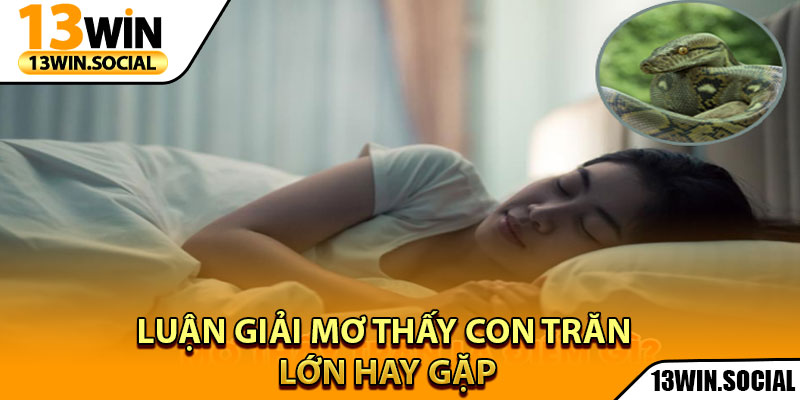 Mơ Thấy Con Trăn Lớn - Hé Lộ Cặp Số Vàng Chuẩn Xác Nhất 3 Luận giải mơ thấy con trăn lớn hay gặp