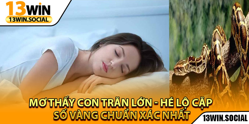 Mơ Thấy Con Trăn Lớn - Hé Lộ Cặp Số Vàng Chuẩn Xác Nhất 1 Mơ Thấy Con Trăn Lớn - Hé Lộ Cặp Số Vàng Chuẩn Xác Nhất