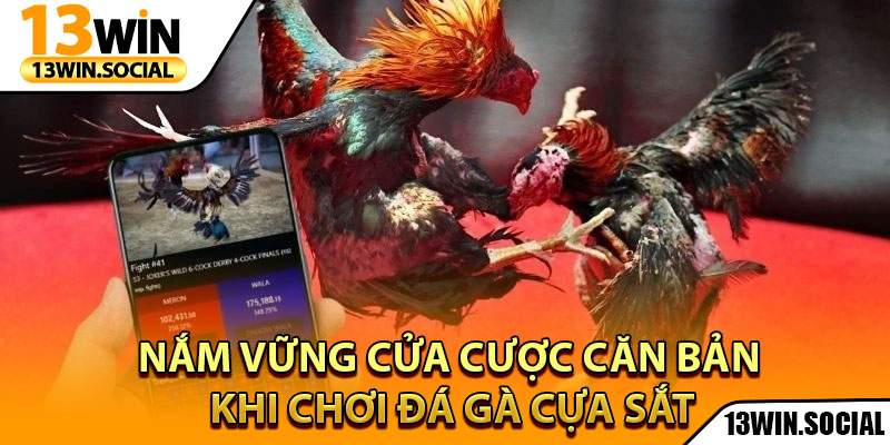 Đá Gà Cựa Sắt - Luật Chơi, Và Cách Bắt Kèo Chuẩn 3 Nắm vững cửa cược căn bản khi chơi đá gà cựa sắt