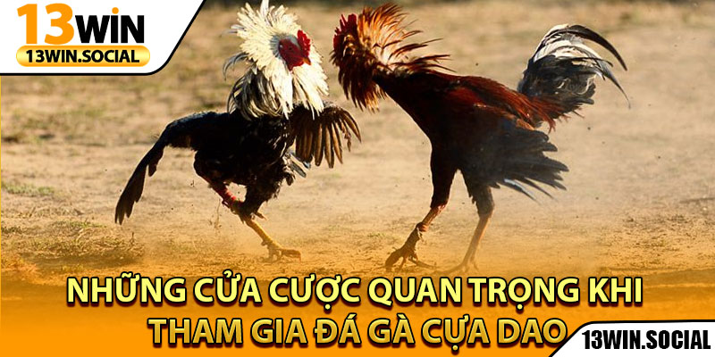 Đá Gà Cựa Dao - Chiến Lược Và Lối Chơi Hiệu Quả Tại 13Win 3 Những cửa cược quan trọng khi tham gia đá gà cựa dao