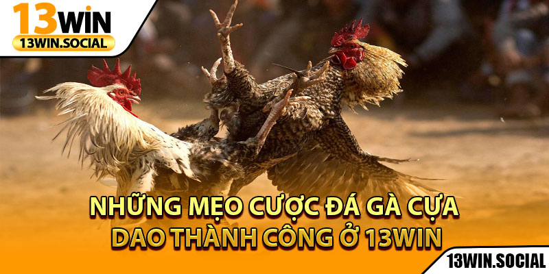 Đá Gà Cựa Dao - Chiến Lược Và Lối Chơi Hiệu Quả Tại 13Win 4 Những mẹo cược đá gà cựa dao thành công ở 13Win